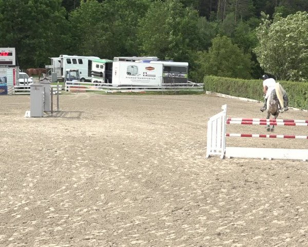 Reitturnier Aesch bei Neftenbach 2021