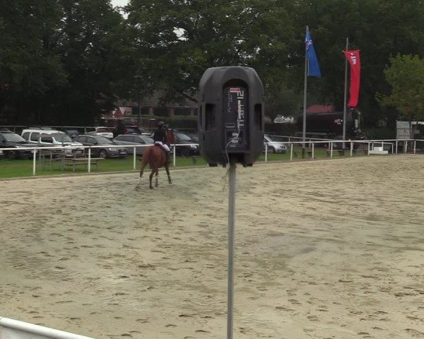 Reitturnier Ostenfelde-Vornholz 2021