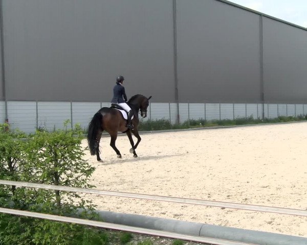 Reitturnier Nürnberg/Mfr. 2021