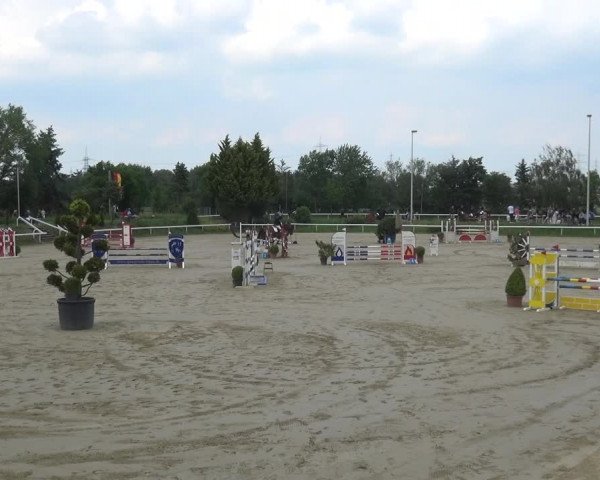 Reitturnier Bornheim-Widdig 2021