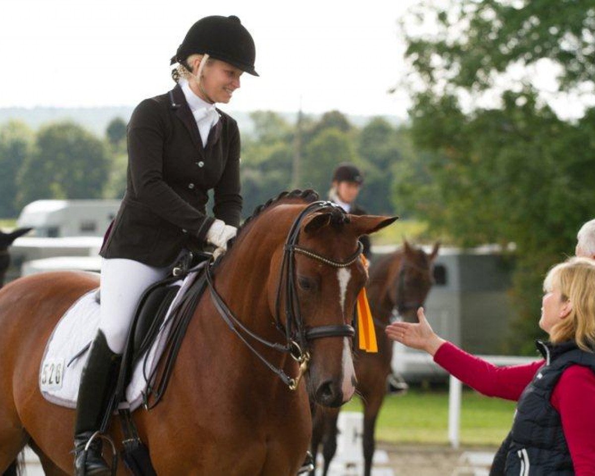 broodmare Fs Lovely Little Lucy (Rhinelander, 2006, from Lord Loxley I)
