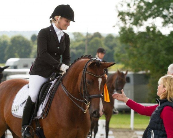 broodmare Fs Lovely Little Lucy (Rhinelander, 2006, from Lord Loxley I)