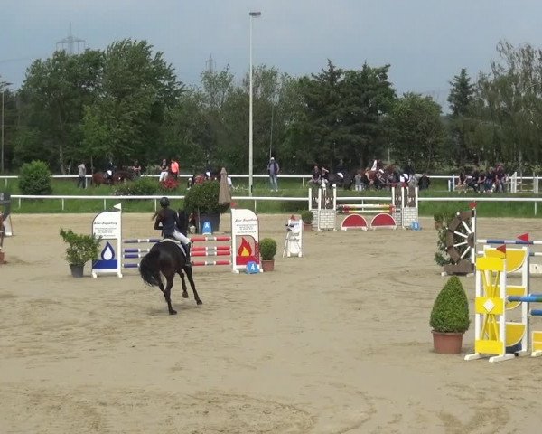 Reitturnier Bornheim-Widdig 2021