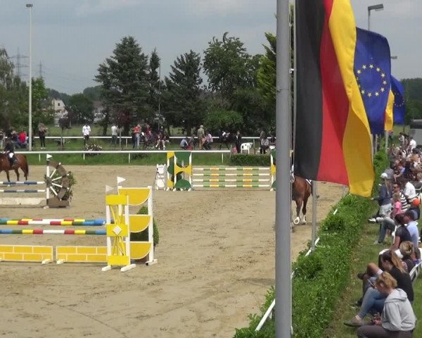 Reitturnier Bornheim-Widdig 2021