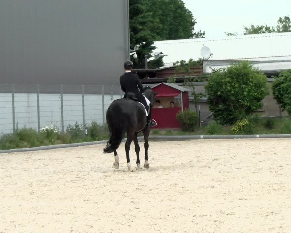 Reitturnier Nürnberg/Mfr. 2021