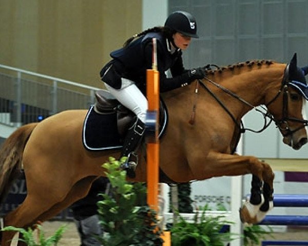 dressage horse Bon Jovi (Nederlands Rijpaarden en Pony, 1997, from Hasko)