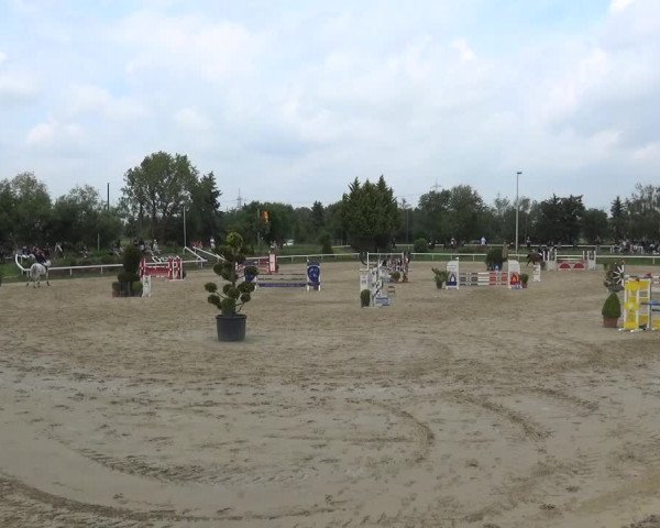 Reitturnier Bornheim-Widdig 2021