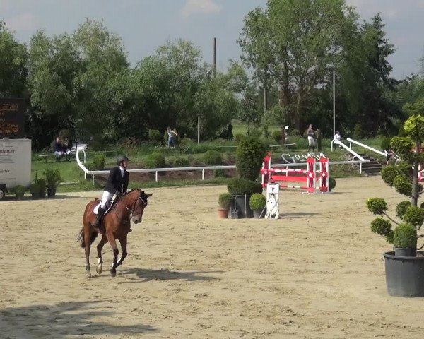 Reitturnier Bornheim-Widdig 2021