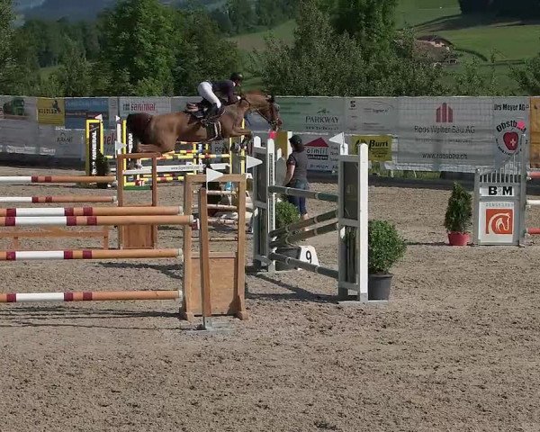 Reitturnier Ruswil 2021
