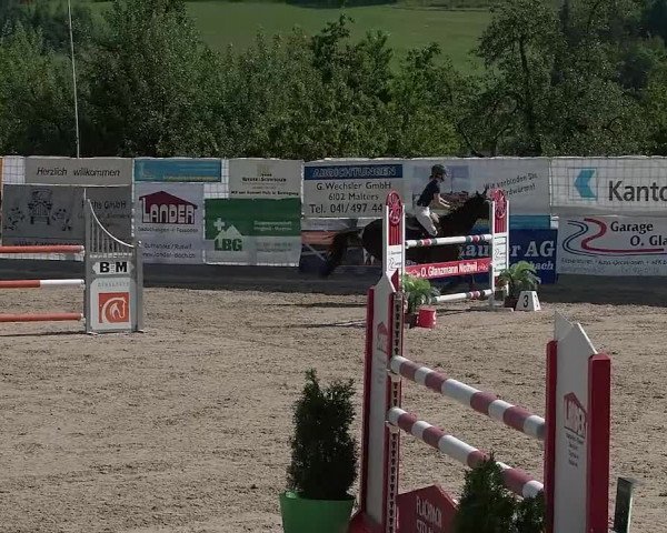 Reitturnier Ruswil 2021