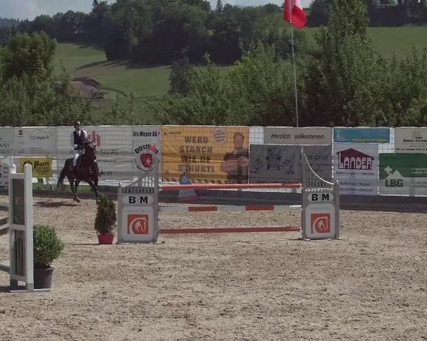 Reitturnier Ruswil 2021