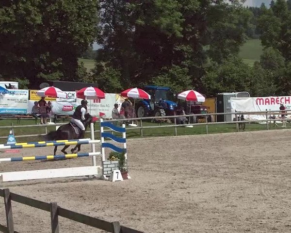 Reitturnier Ruswil 2021