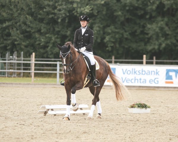 dressage horse Finessa S (Rhinelander, 2013, from Floribot)