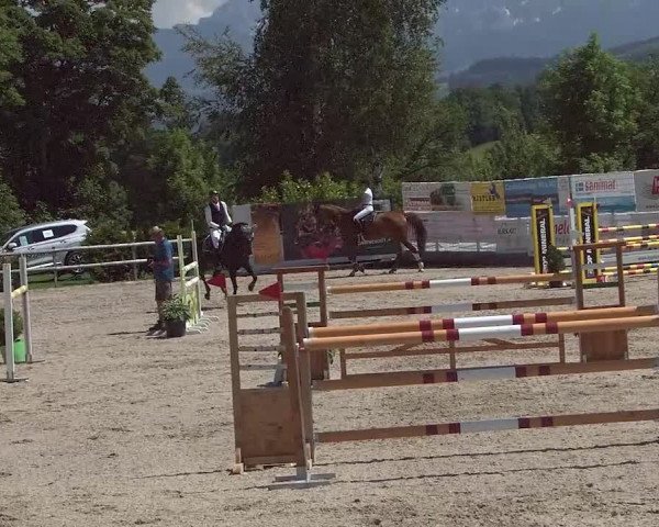 Reitturnier Ruswil 2021