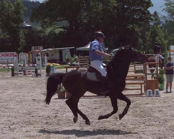 Reitturnier Ruswil 2021