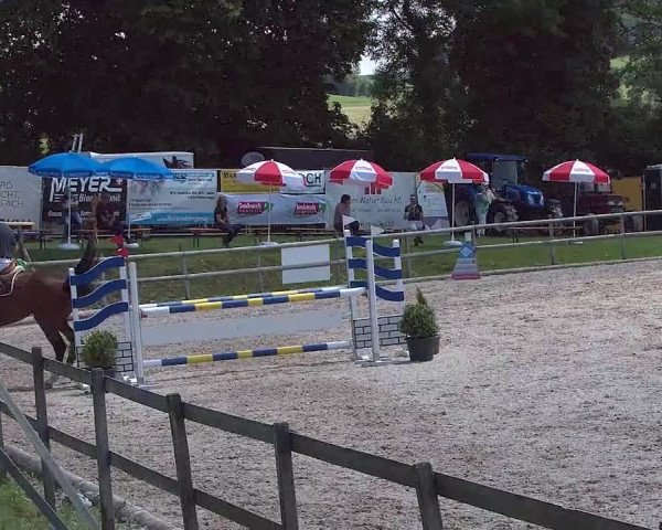 Reitturnier Ruswil 2021