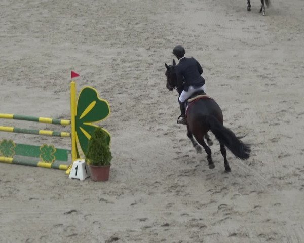 Reitturnier Monheim - Gut Blee 2021