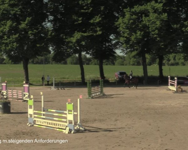 Reitturnier Recklinghausen 2021