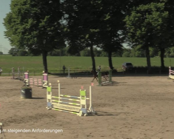 Reitturnier Recklinghausen 2021