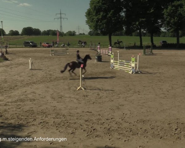 Reitturnier Recklinghausen 2021