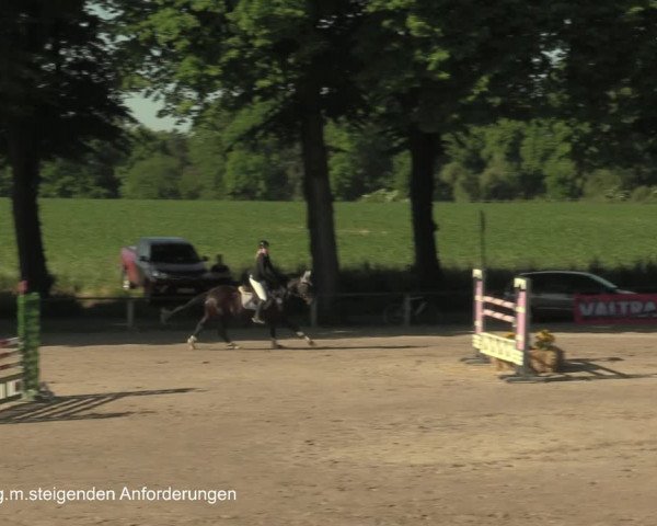 Reitturnier Recklinghausen 2021