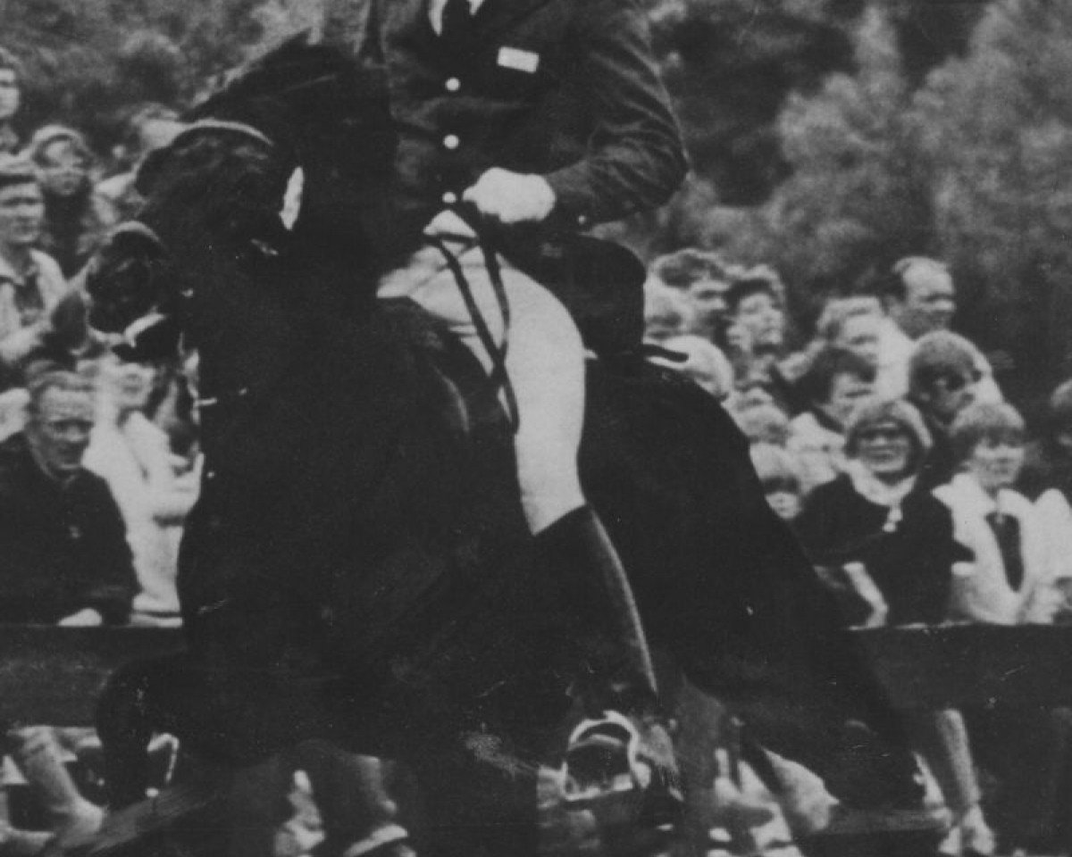 Deckhengst Fróði frá Ásgeirsbrekku (Islandpferd, 1970, von Lýsingur frá Voðmúlastöðum 409)