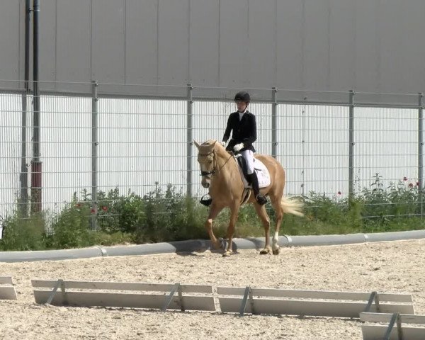 Reitturnier Nürnberg/Mfr. 2021