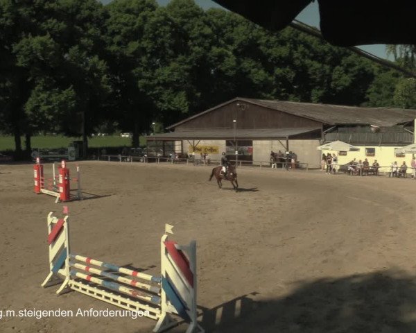 Reitturnier Recklinghausen 2021