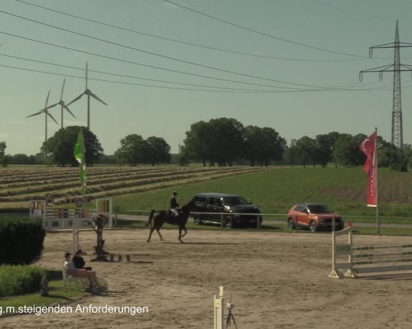 Reitturnier Recklinghausen 2021