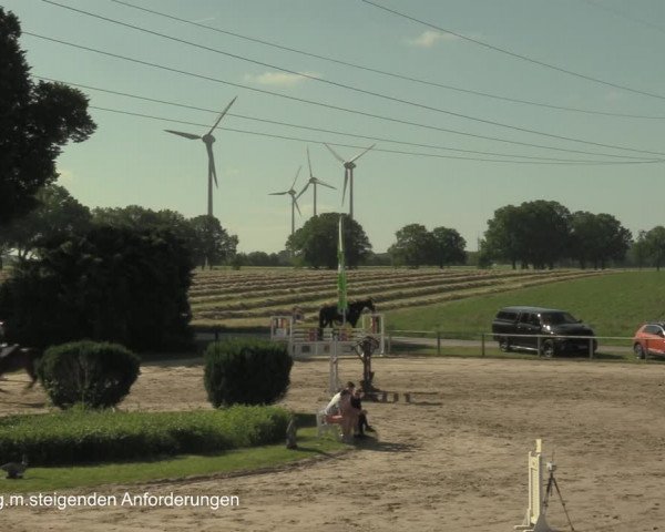 Reitturnier Recklinghausen 2021