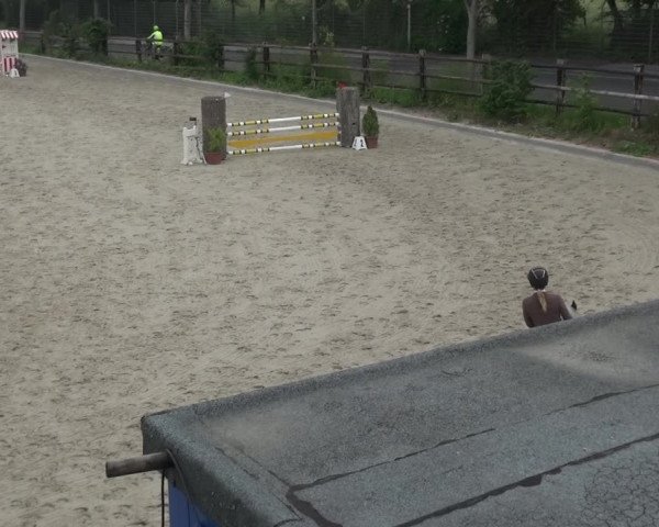 Reitturnier Monheim - Gut Blee 2021