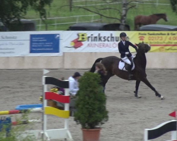 Reitturnier Monheim - Gut Blee 2021
