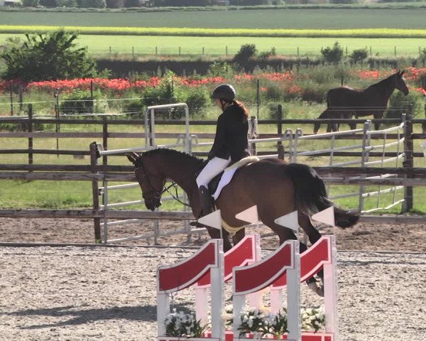 Reitturnier Worms-Pfeddersheim / Reitsportanlage Wittemer 2021