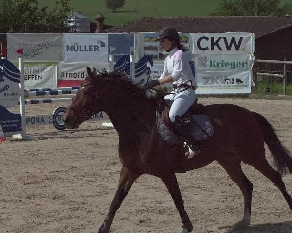Reitturnier Ruswil 2021