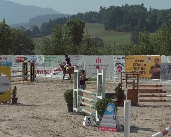 Reitturnier Ruswil 2021