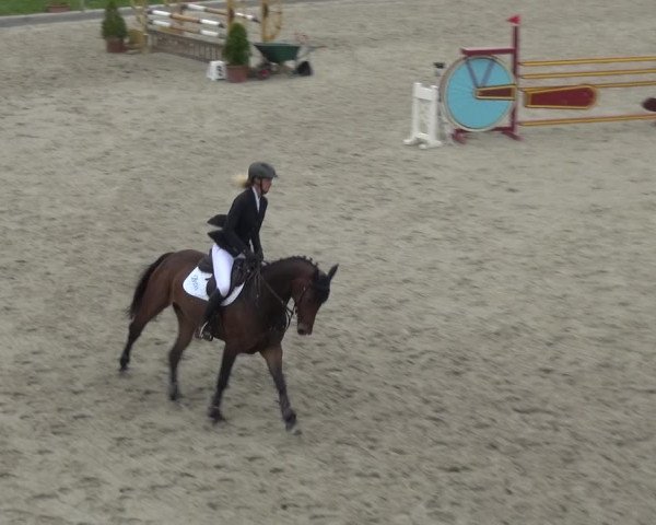Reitturnier Monheim - Gut Blee 2021