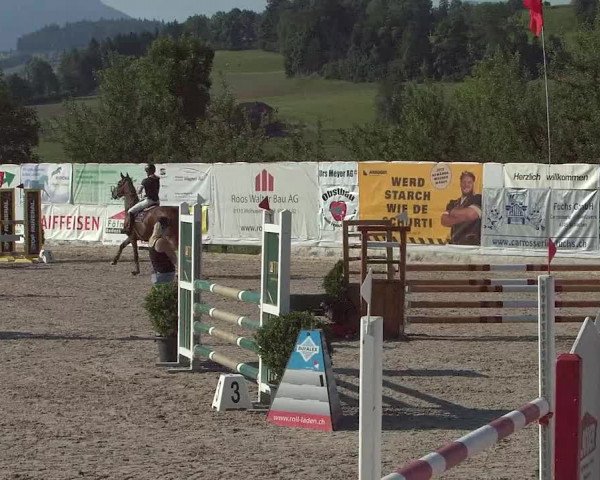 Reitturnier Ruswil 2021