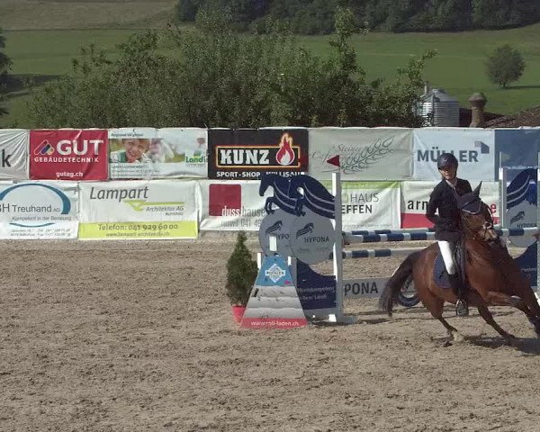 Reitturnier Ruswil 2021