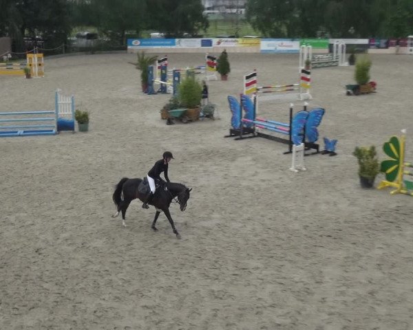 Reitturnier Monheim - Gut Blee 2021