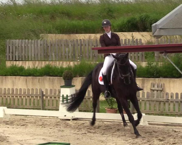 Equestrian Show Schülp / Rendsburg 2021