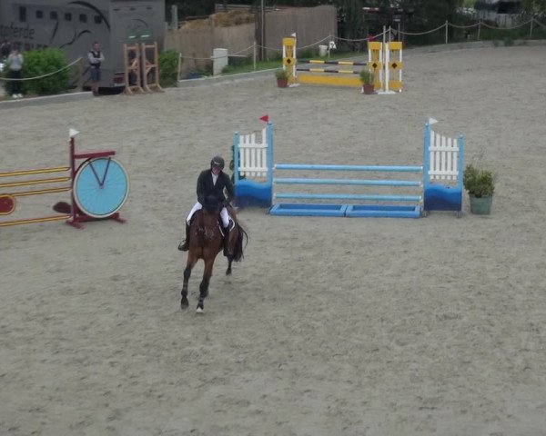 Reitturnier Monheim - Gut Blee 2021