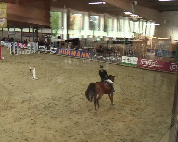 Steinhagen Classics 2021