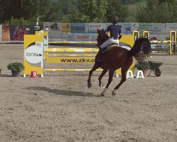 Reitturnier Ruswil 2021
