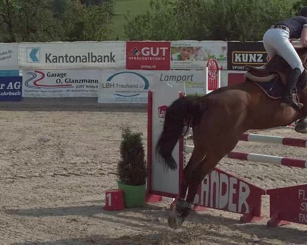 Reitturnier Ruswil 2021