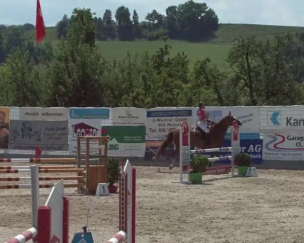 Reitturnier Ruswil 2021