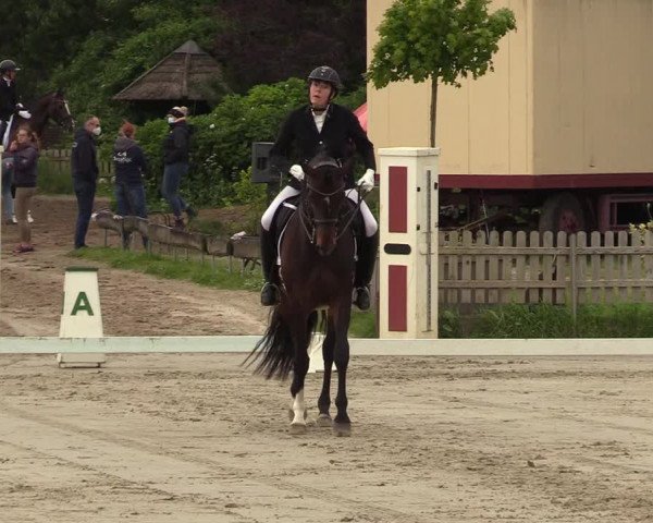 Reitturnier Schülp / Rendsburg 2021