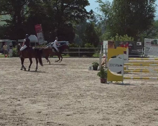 Reitturnier Ruswil 2021