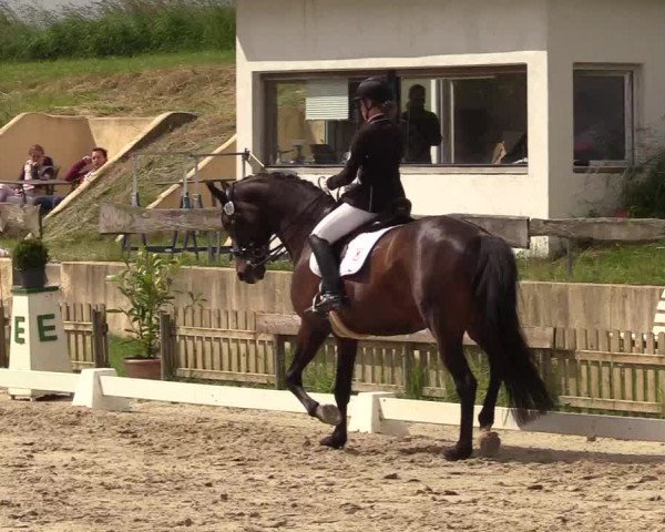 Reitturnier Schülp / Rendsburg 2021
