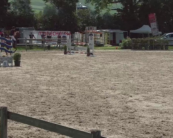 Reitturnier Ruswil 2021