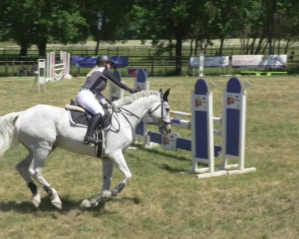 Reitturnier Lahr-Langenwinkel 2021